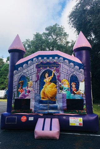 Princess Bounce House #1