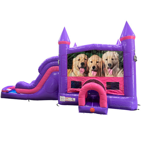 Dogs Dream Double Lane Wet/Dry Slide with Bounce House