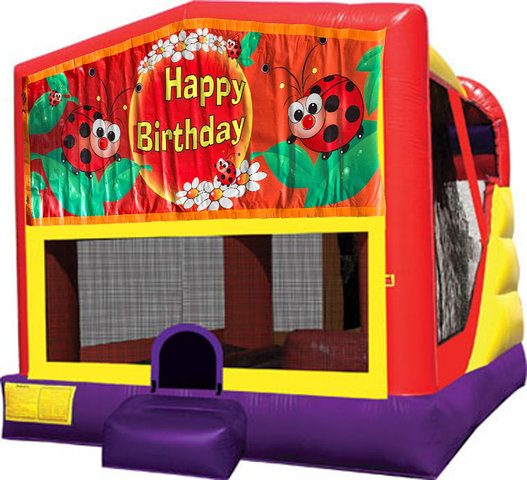 Ladybug 4in1 Inflatable Bounce House Combo