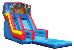 Brother Bear Water Slide