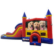 Dogs Double Lane Water Slide with Bounce House