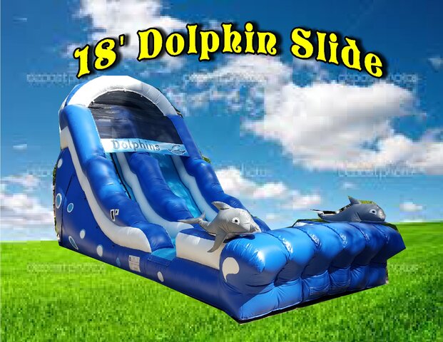 18' Dolphin Slide