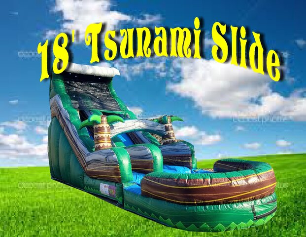 18' Tsunami Slide