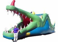 Dragon Dry Slide - 12' Dragon Dry Slide - 12'