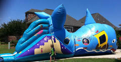 Whale Mini-Obstacle (age 7 & under) Whale Mini-Obstacle (age 7 & under)