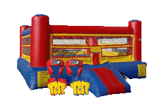 Cajun Boxing Ring with Head Gear 10' (BNA) Cajun Boxing Ring with Head Gear 10' (BNA)