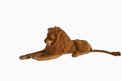 LION PROP LION PROP