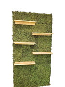GRASS 4X8 WALL WITH SHELVES