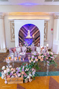 MAUVE SOFIA CHAIRS MAUVE SOFIA CHAIRS