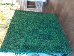 Grass Wall Grass Wall