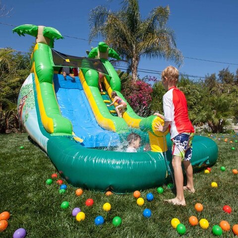 13ft Tall Safari Waterslide 