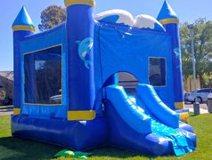 Dolphin bounce house combo with slide and Basketball Hoop (Wet)