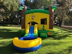 Tropical Castle Bounce house combo with slide and Basketball Hoop (Wet)