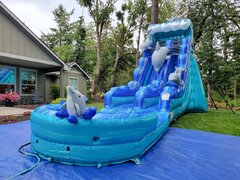 21' Dolphins Water/Dry Slide