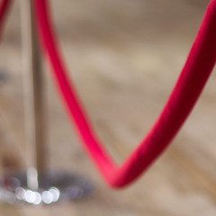 Stanchions and Ropes