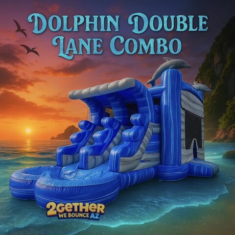 Dolphin Double Lane Combo (Wet/Dry) Dolphin Double Lane Combo (Wet/Dry)