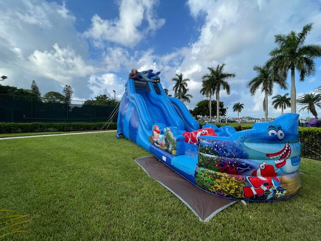 20ft Shark slide 20ft Shark slide
