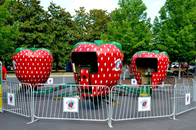 Berry Go Round Berry Go Round