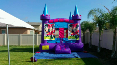 Purple/Blue Castle Purple/Blue Castle