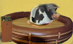 Mechanical Bull