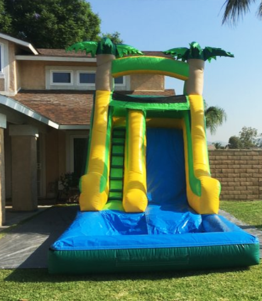 Tropical Water Slide for rent
