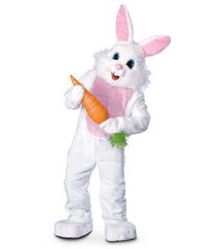 bunny bunny