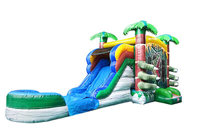 194 - 13x31 Raptor Jump and Big Slide 194 - 13x31 Raptor Jump and Big Slide