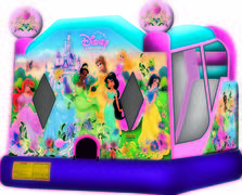 Disney Princess Slide Combo