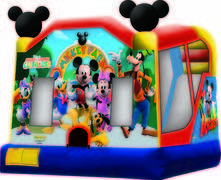 Mickey Park Slide Combo