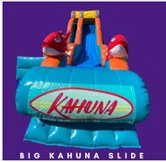 Big Kahuna Slide