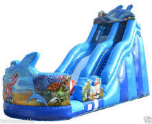 21ft Shark Water Slide 21ft Shark Water Slide