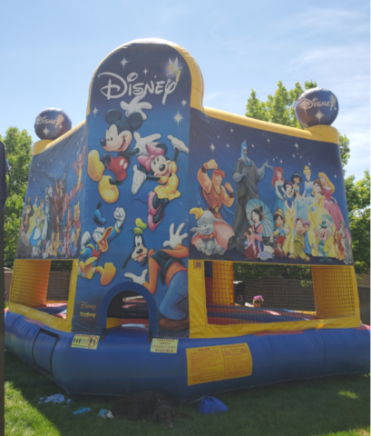 World of Disney Bounce House World of Disney Bounce House