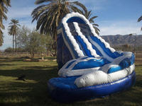 $295 Colossal Wave Water Slide August 3rd & 4th only