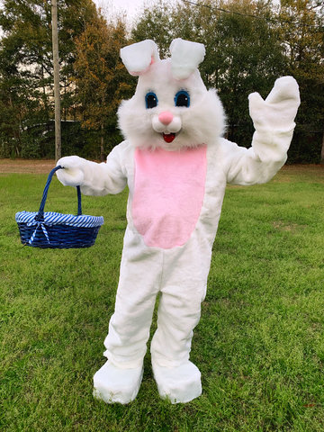 Easter Bunny Easter Bunny