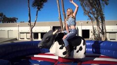 Mechanical Bulls