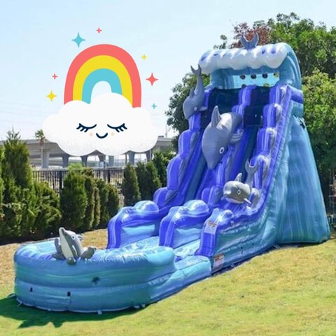 Dolphins 19Ft Waterslide Dolphins 19Ft Waterslide