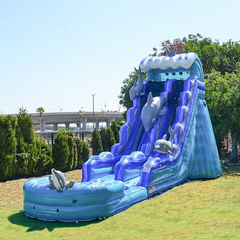 Dolphins 19Ft Waterslide