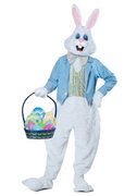 Costume Rental Costume Rental