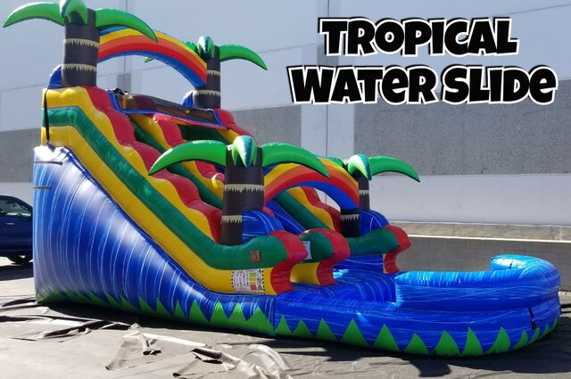 17' Tropical Palm Tree Water Slide