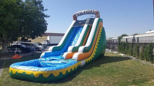 safari pool slides