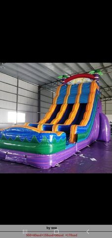 26ft Purple Crush Double Lane Slide with pool 26ft Purple Crush Double Lane Slide with pool