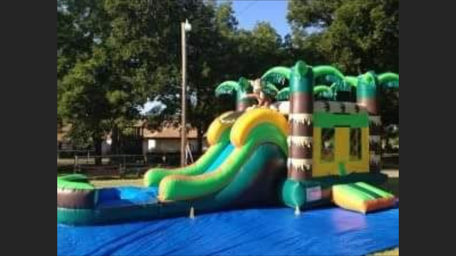 Tropical Combo with Slide and Pool Tropical Combo with Slide and Pool