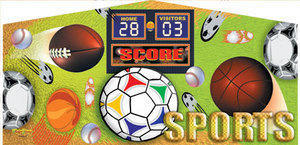 Themed Sports Balls 5in1 Combo Classic