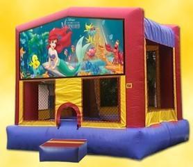 Themed Disney Little Mermaid Jump15x15