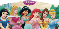 Disney Princess Panel