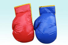 Boxing Gloves Boxing Gloves