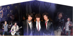 Jonas Brothers Panel Jonas Brothers Panel