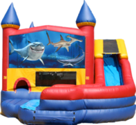 Sharks- 4n1 Curvy Slide Combo Sharks- 4n1 Curvy Slide Combo