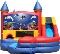 Sea World- 4n1 Curvy Slide Combo Sea World- 4n1 Curvy Slide Combo