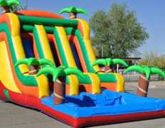 Tropical Dual Slide Tropical Dual Slide